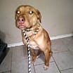 Thumbnail photo of Tex #2