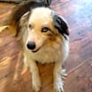 Thumbnail photo of Marti #1