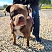 Thumbnail photo of SMILEY #2