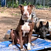 Thumbnail photo of Spice #2