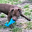 Thumbnail photo of SMILEY #4