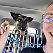 Thumbnail photo of Daisy #4