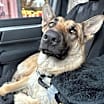 Thumbnail photo of Pretty Alice -URGENT #1