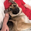 Thumbnail photo of Pretty Alice -URGENT #2