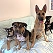 Thumbnail photo of Pretty Alice -URGENT #3