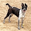 Thumbnail photo of TILLIE #1
