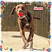 Thumbnail photo of Sienna #4