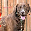 Thumbnail photo of Cherry (Cher) #4