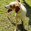 Thumbnail photo of Lola #2