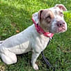 Thumbnail photo of Camina #4