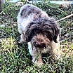 Thumbnail photo of Franklin #1
