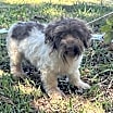 Thumbnail photo of Franklin #2