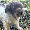 Thumbnail photo of Franklin #3