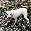 Thumbnail photo of Delbert #2