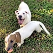 Thumbnail photo of Delbert #4