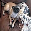 Thumbnail photo of Jake #4