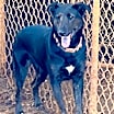 Thumbnail photo of Sweetie Pea 1 #1