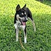 Thumbnail photo of Jasmine #1