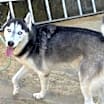 Thumbnail photo of Zeus #2