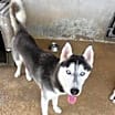Thumbnail photo of Zeus #3
