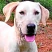 Thumbnail photo of Cora #1