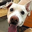 Thumbnail photo of Blu #4