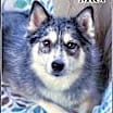 Thumbnail photo of Max #3