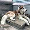 Thumbnail photo of Coby #2