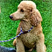 Thumbnail photo of Amy #4