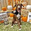 Thumbnail photo of Bohdie #1