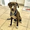 Thumbnail photo of Bohdie #2