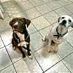 Thumbnail photo of Bohdie #3