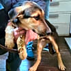 Thumbnail photo of Harry Brown #2