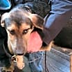 Thumbnail photo of Harry Brown #3