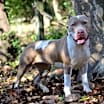 Thumbnail photo of Cleo #3