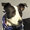 Thumbnail photo of Abner - Sponsored #4