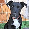 Thumbnail photo of Jack #2