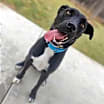 Thumbnail photo of Thumper #3