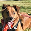 Thumbnail photo of Lorenza #1