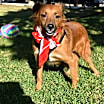 Thumbnail photo of Lorenza #2