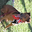 Thumbnail photo of Lorenza #3