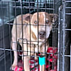 Thumbnail photo of Trigg #2
