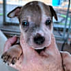 Thumbnail photo of Trigg #3