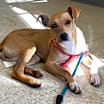 Thumbnail photo of Penny #1