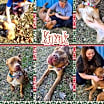 Thumbnail photo of Kayak #2