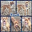 Thumbnail photo of Kayak #3