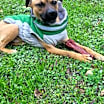 Thumbnail photo of Finley #1