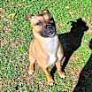 Thumbnail photo of Finley #2