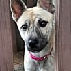 Thumbnail photo of Holly #1