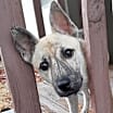 Thumbnail photo of Holly #2